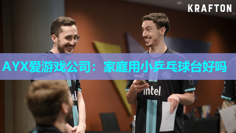 AYX爱游戏公司：家庭用小乒乓球台好吗