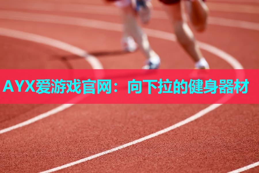 AYX爱游戏官网：向下拉的健身器材