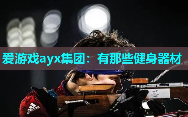 爱游戏ayx集团：有那些健身器材