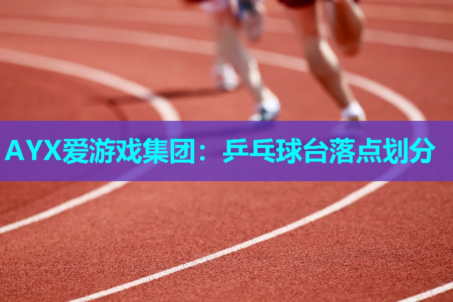 AYX爱游戏集团：乒乓球台落点划分