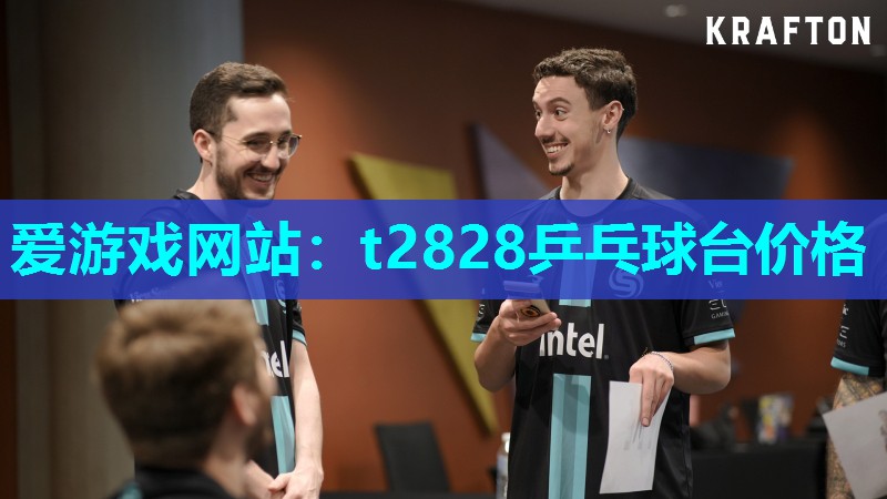 爱游戏网站：t2828乒乓球台价格