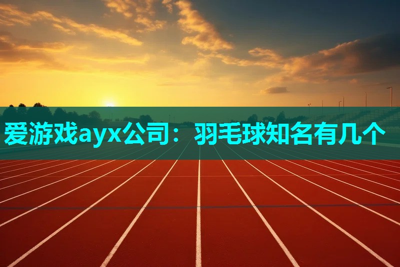 爱游戏ayx公司：羽毛球知名有几个