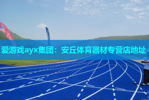 爱游戏ayx集团：安丘体育器材专营店地址