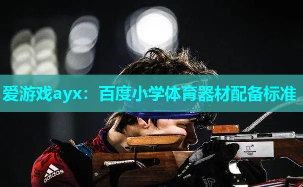 爱游戏ayx：百度小学体育器材配备标准