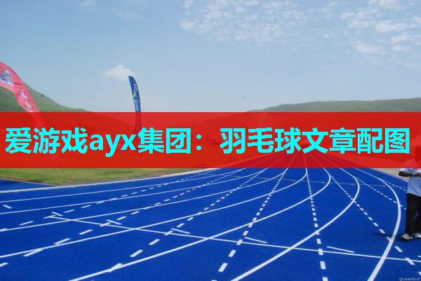 爱游戏ayx集团：羽毛球文章配图