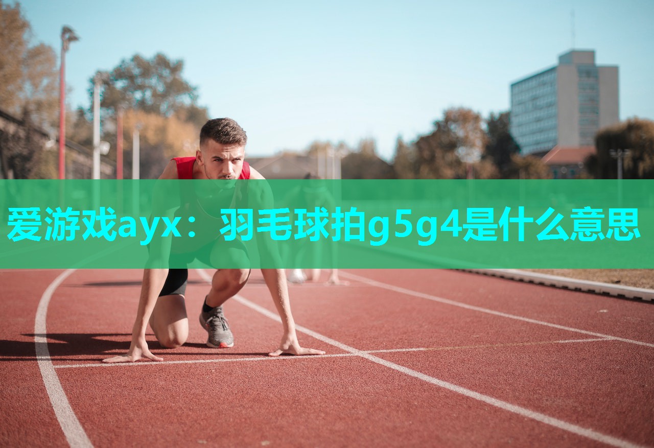 爱游戏ayx：羽毛球拍g5g4是什么意思