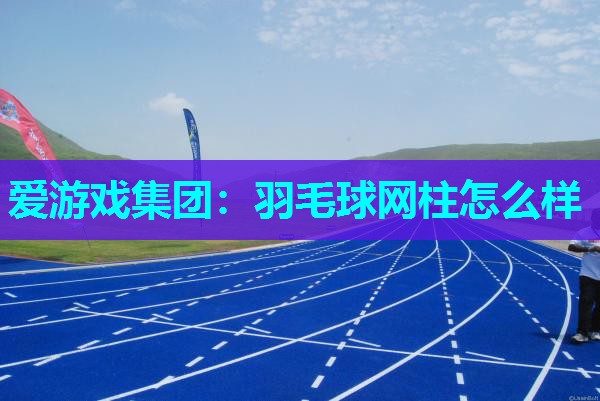 爱游戏集团：羽毛球网柱怎么样