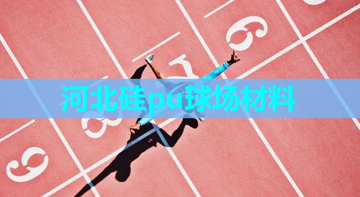 河北硅pu球场材料 河北硅pu球场材料