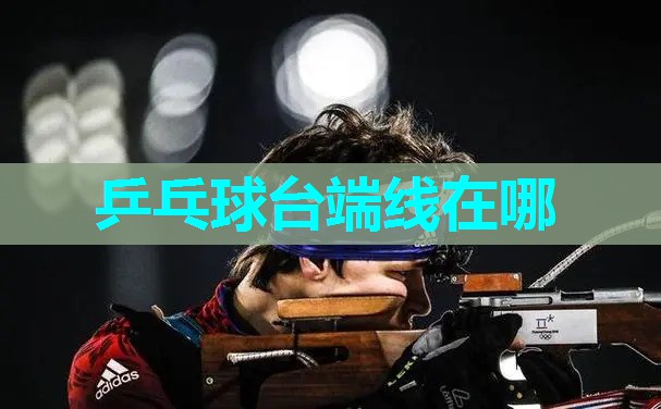 乒乓球台端线在哪 乒乓球台端线在哪
