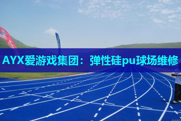 弹性硅pu球场维修 弹性硅pu球场维修