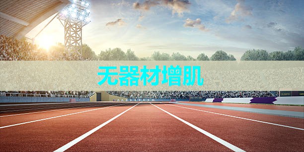 无器材增肌 无器材增肌