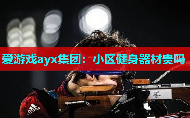 小区健身器材贵吗 小区健身器材贵吗
