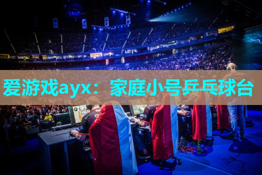 家庭小号乒乓球台 家庭小号乒乓球台