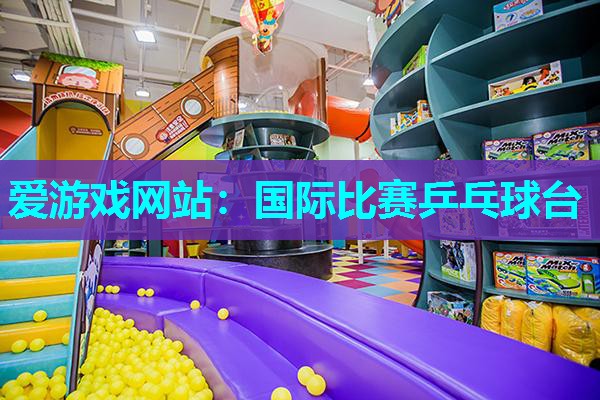 国际比赛乒乓球台 国际比赛乒乓球台