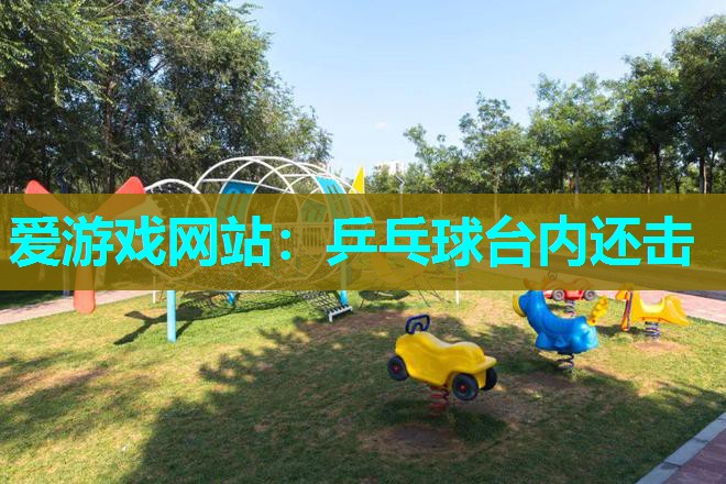乒乓球台内还击 乒乓球台内还击