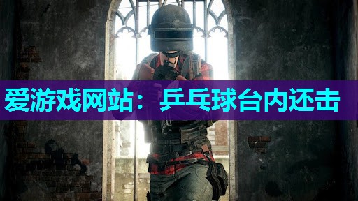 乒乓球台内还击 乒乓球台内还击