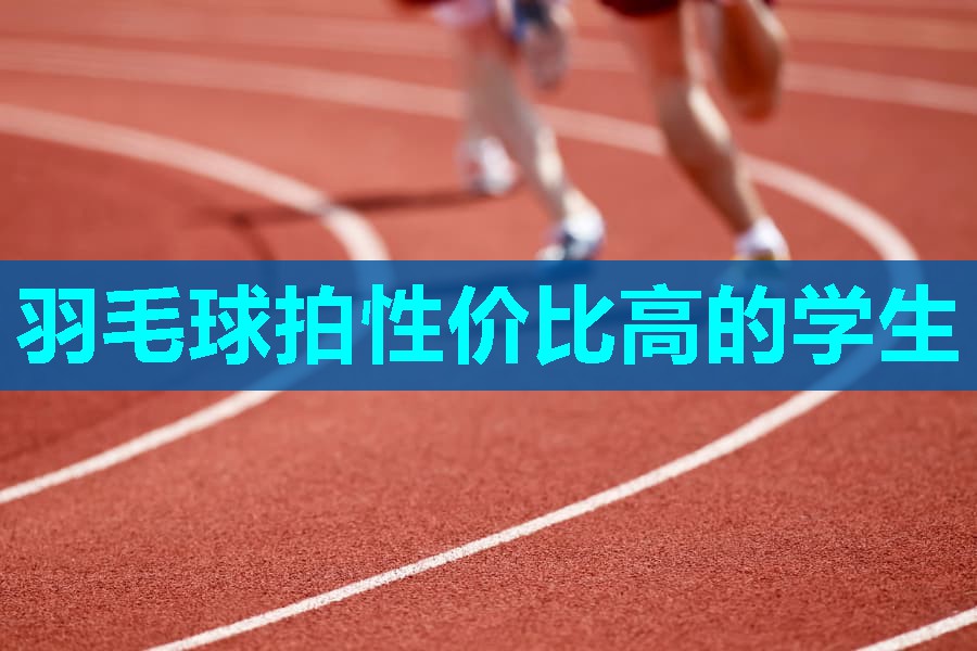 羽毛球拍性价比高的学生